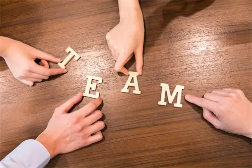 鲨鱼宝宝的含义是